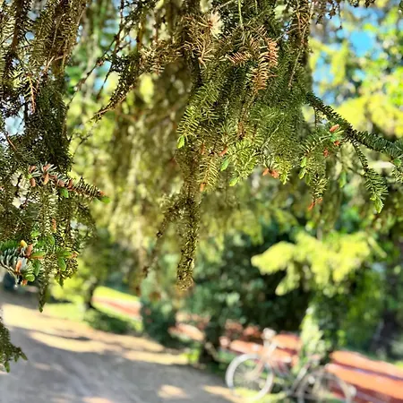 情趣酒店 L'ecrin De La Sapiniere Merville (Nord)