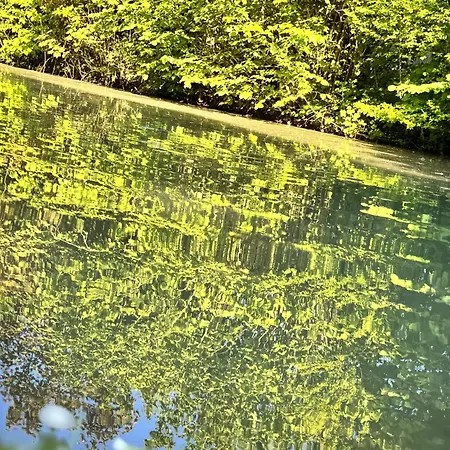 L'ecrin De La Sapiniere *