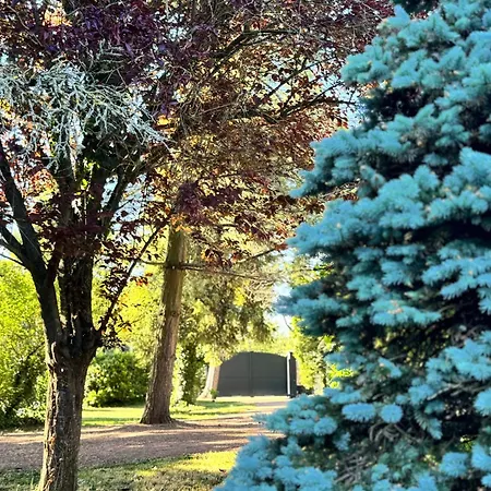 情趣酒店 L'ecrin De La Sapiniere